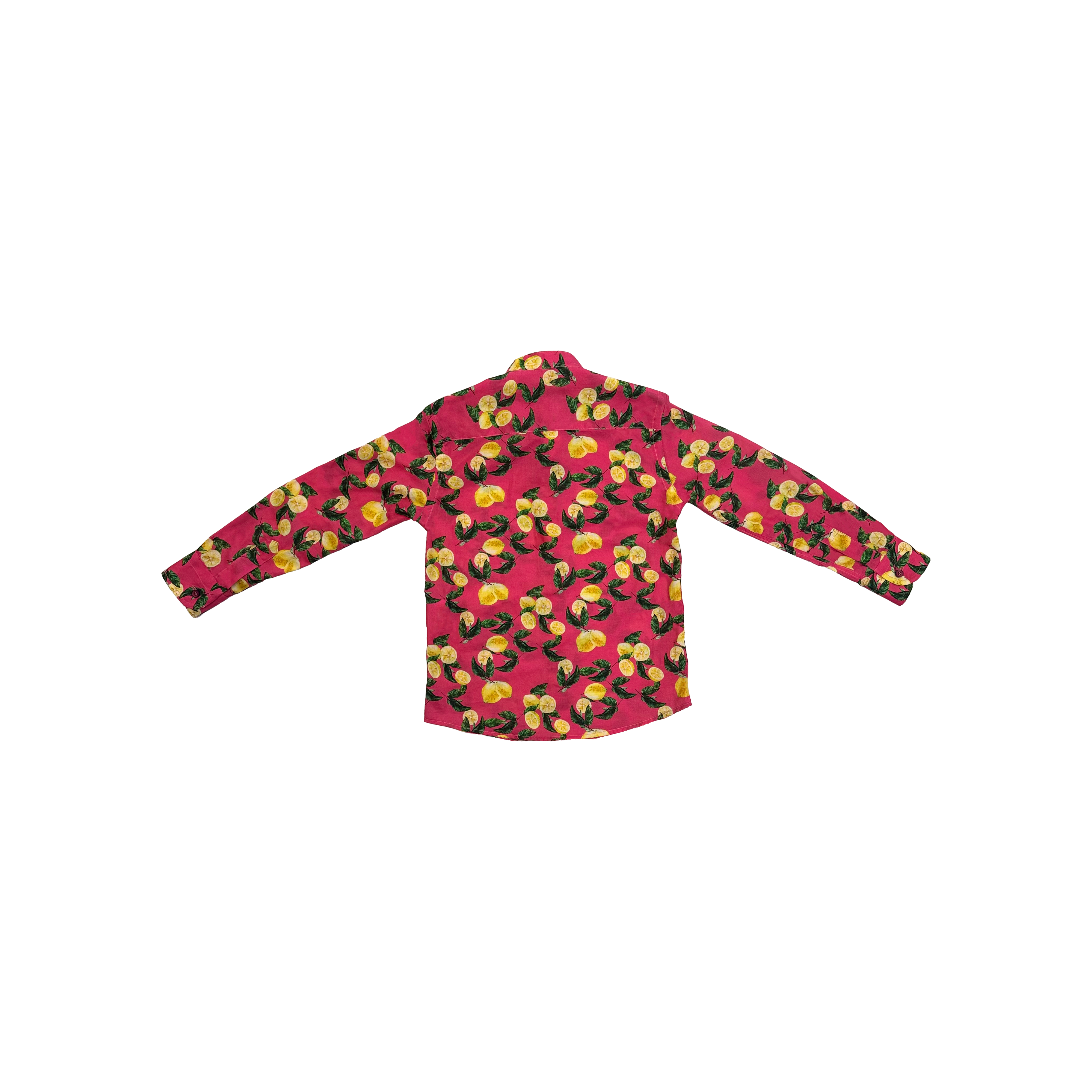 Neill Katter Camicia Limoni Promozione Limitata
