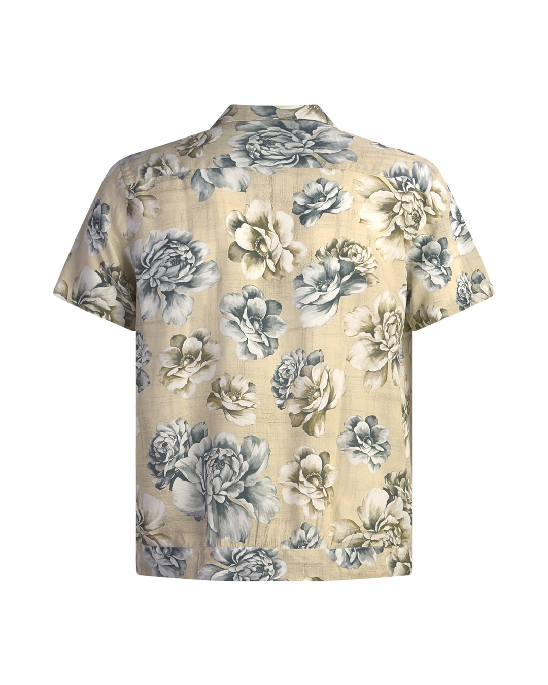 Neill Katter Camicia Rosa Alba Moda