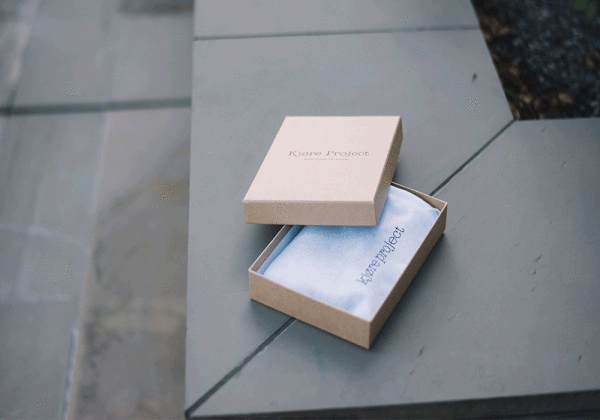 Kjøre Project Draw Card Case Evolution Wallet Saldi
