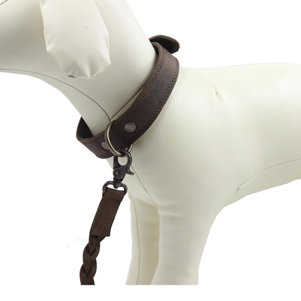 Kjøre Project Leather Dog Collar & Leash Prezzo Ridotto