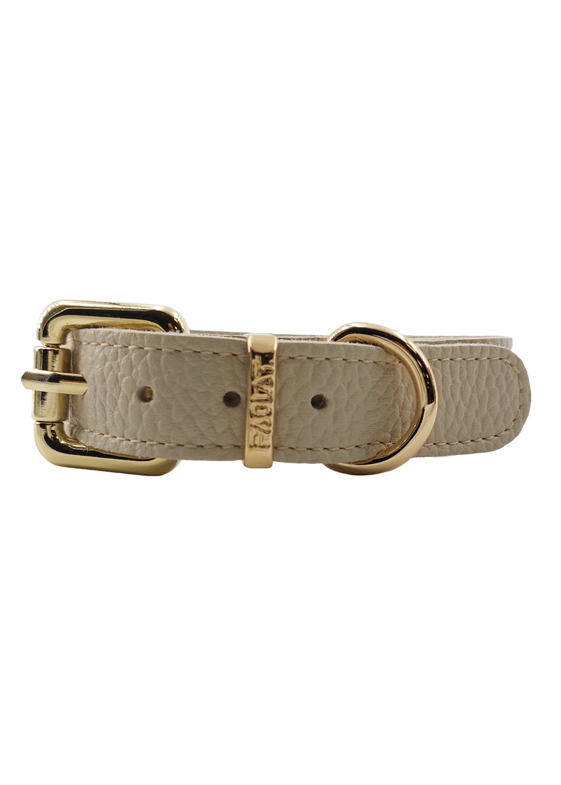 Paola T. Collare basic Outlet