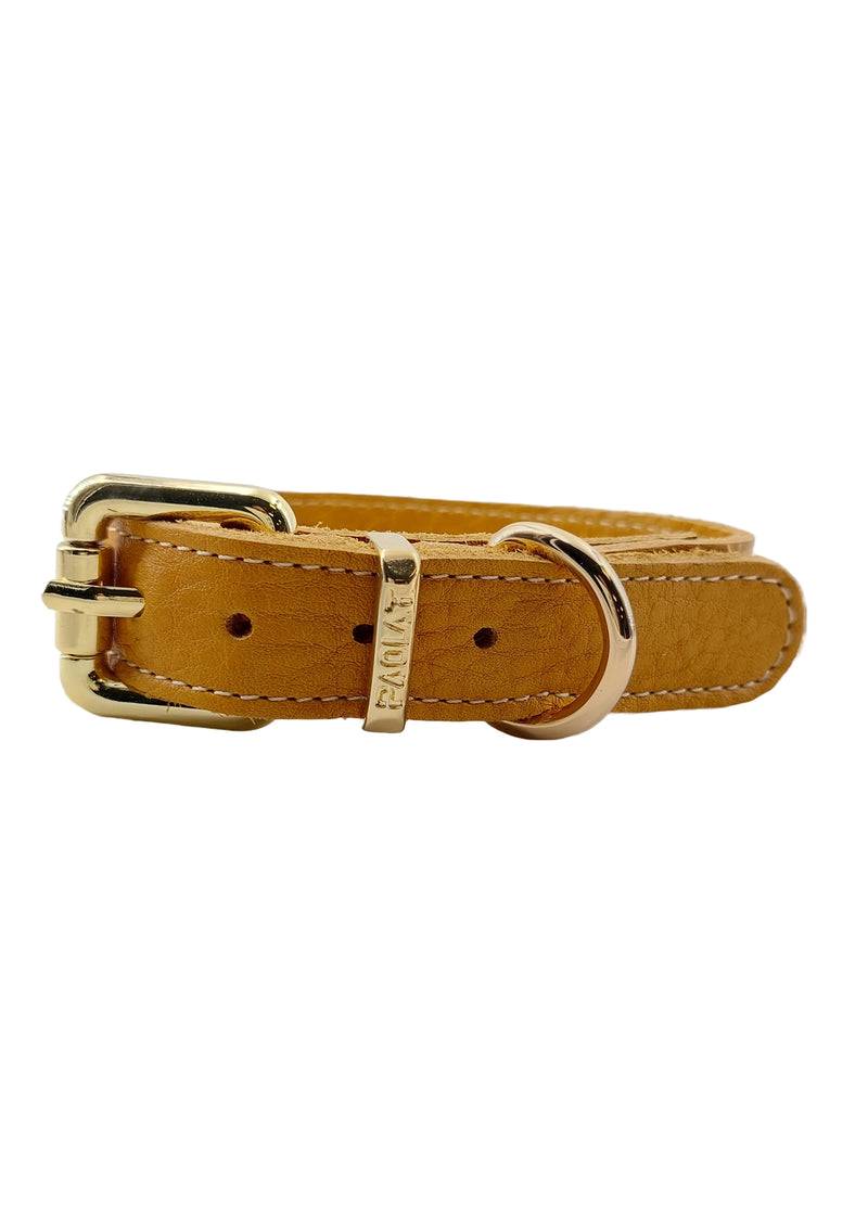 Paola T. Collare basic In Vendita