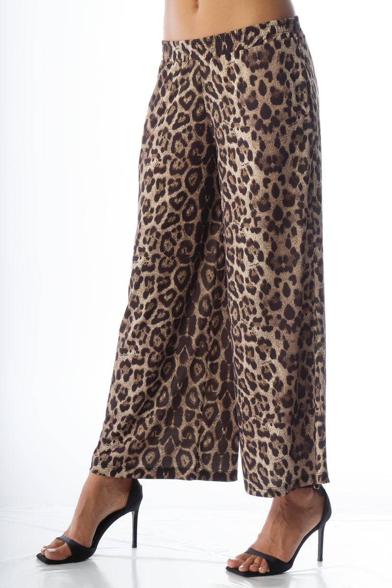 Paola T. Pantalone cropped Online