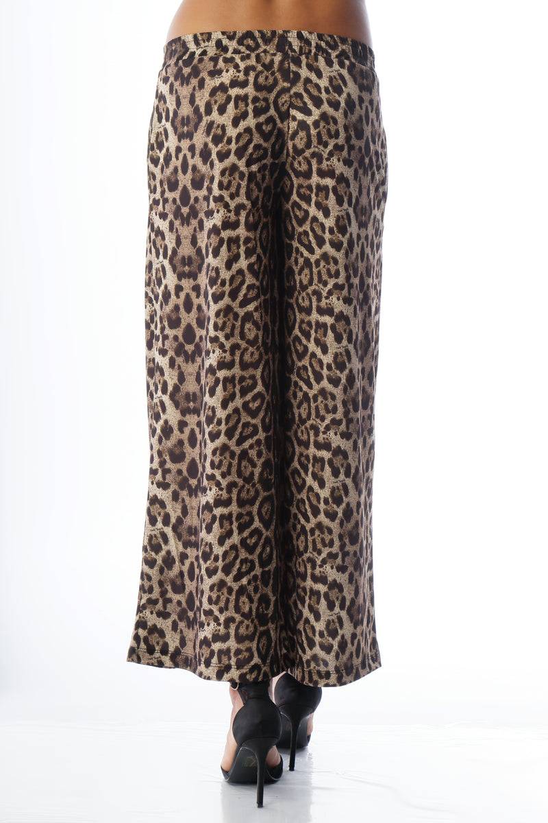 Paola T. Pantalone cropped Online