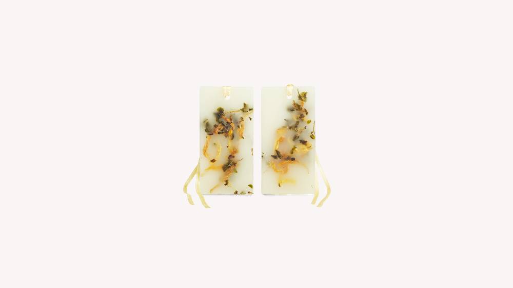 SANTA MARIA NOVELLA TAVOLETTE DI CERA FRESIA 3466000UNICA SKU: 3466000UNICA Acquista Ora