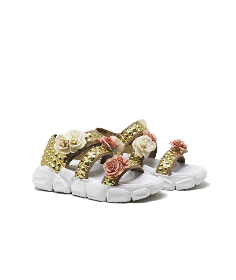 Pokemaoke Wanda Andromeda Offerte