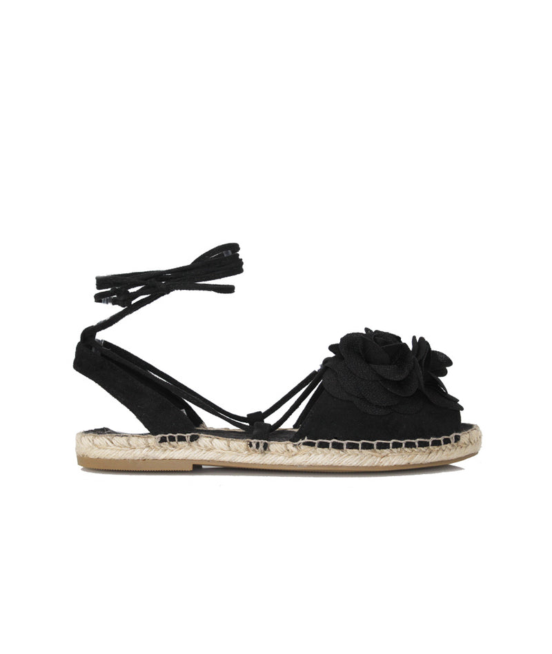 Pokemaoke Delfina Camelie Vendita