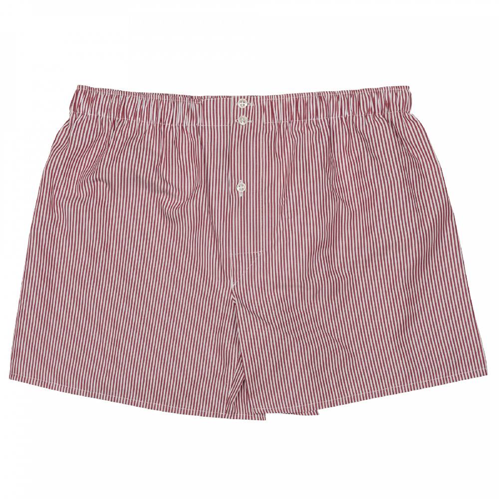 Roberto Ricetti BOXER DB1 SUPPORT - BASIC - CONTINUATIVO - RIGA BORDEAUX 2025