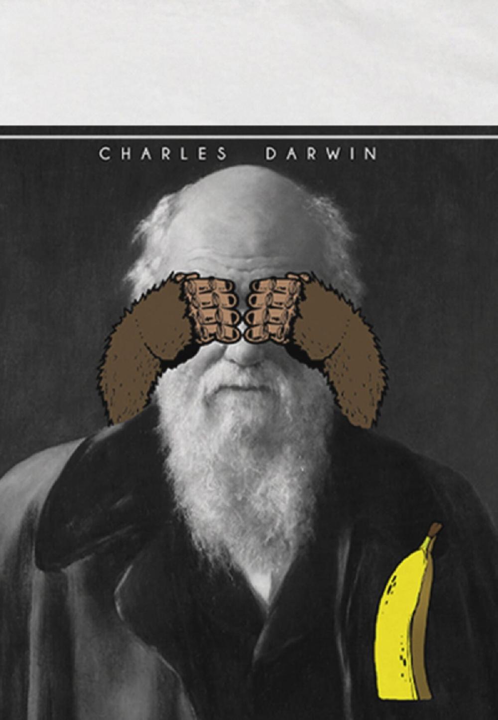 Seetees Darwin Negozio