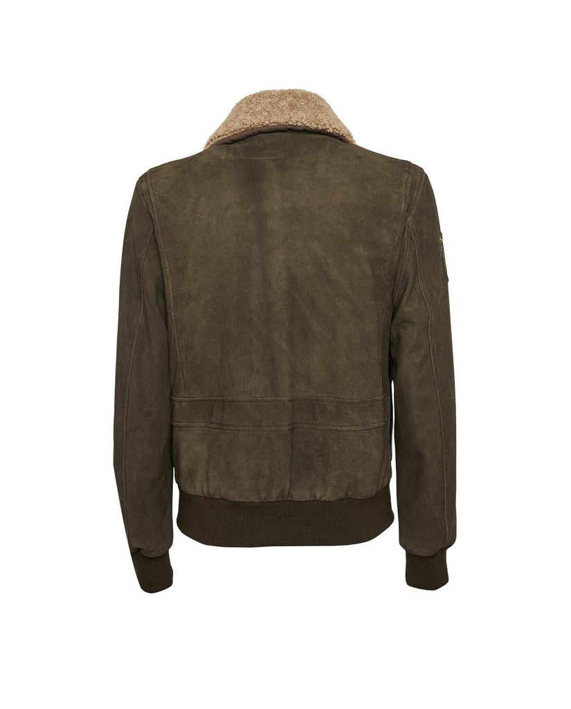 Stewart TORNADO-CHEVRETTE SKIN REMOVABLE COLLAR Affare Del Giorno
