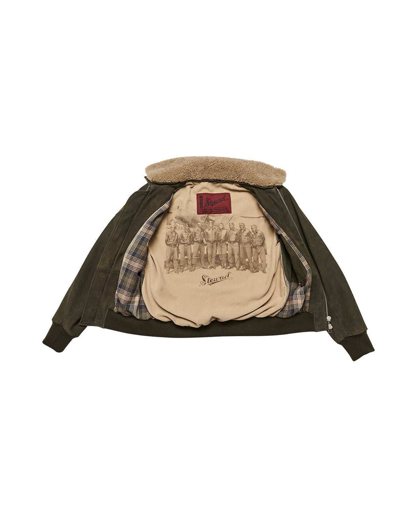 Stewart TORNADO-CHEVRETTE SKIN REMOVABLE COLLAR Affare Del Giorno