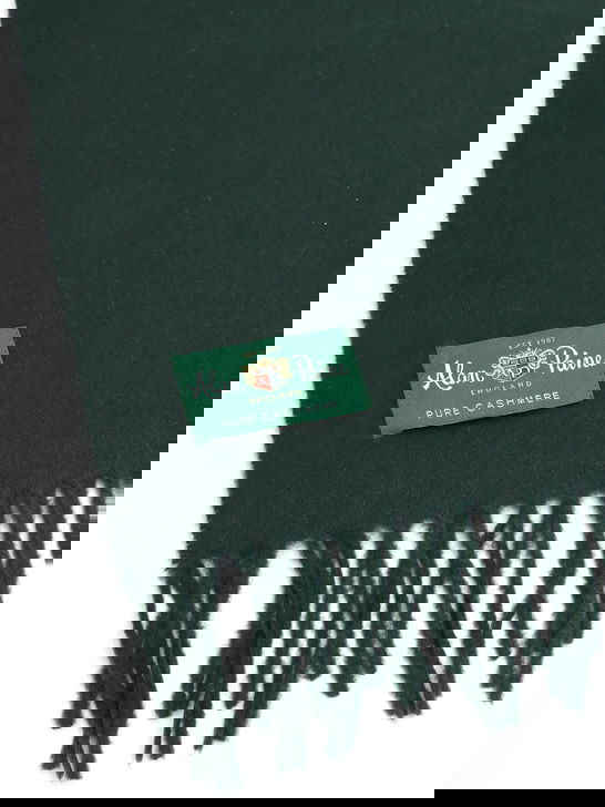 Alan Paine Sciarpa Alan Paine Risbury Cashmere Verde Consegna Veloce